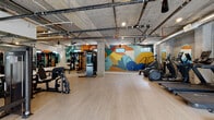 Located at 1501 Buena Vista Ave in Alameda, California, this well-appointed fitness center combines industrial design with vibrant artistic elements to create a dynamic and motivating workout environment. The space is defined by its exposed concrete ceilings with visible ductwork, pipes, and structural beams, lending it a raw, urban character balanced by warm wood-toned flooring throughout.

A standout feature is the large, bold mural spanning one wall, bursting with abstract shapes in teal, orange, yellow, and blue — adding energy and visual interest to the workout floor. The open layout provides ample room for movement, with distinct zones dedicated to different training modalities.

The cardio area houses a row of treadmills and elliptical machines, each positioned in front of arched mirrors set against exposed concrete walls. The strength training section includes a comprehensive dumbbell rack, adjustable benches, cable machines, and multi-functional strength equipment. A wall-length mirror in the free weights area enhances the sense of space and supports proper form during training. A mounted flat-screen television adds a functional entertainment element.

Natural light enters through floor-to-ceiling glass doors on one side, which open to an adjacent outdoor area, seamlessly connecting the interior to the exterior. Ceiling fans and recessed lighting ensure a comfortable atmosphere throughout the space.