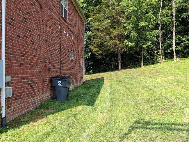 Building Photo - COMING SOON!!......King of The Hill – Your...