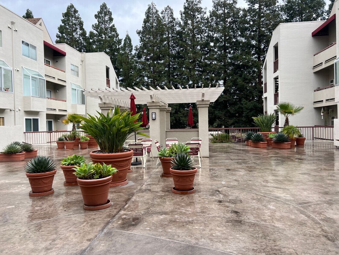 3173 Wayside Plaza Unit 119, Walnut Creek, CA 94597 Condo for Rent in