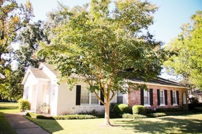 Building Photo - D'iberville Apartments