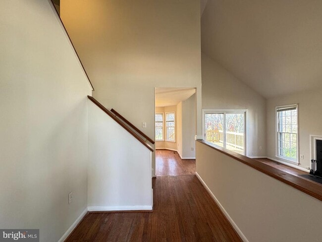 Building Photo - 12214 Dapple Gray Ct