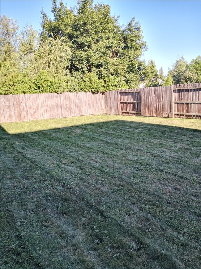 Large fenced yard - 1605 Cedar St