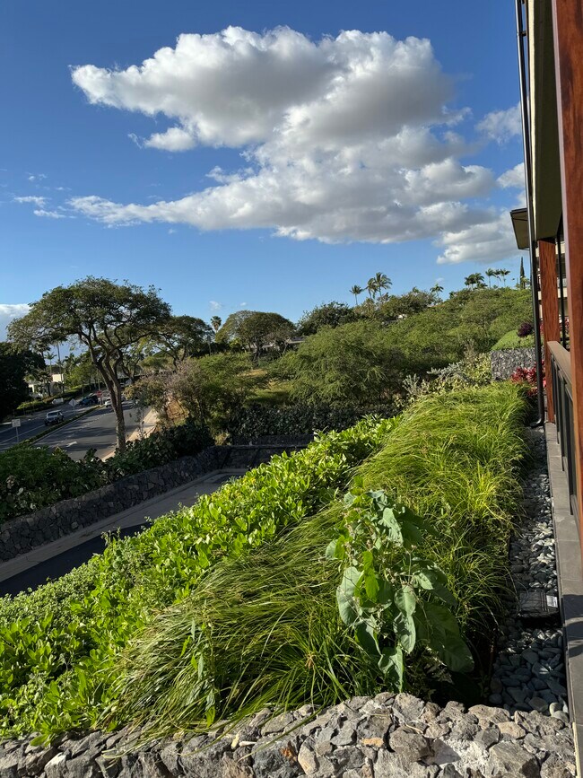 74 Kai Malu Dr Unit 101, Kihei, HI 96753 Condo for Rent in Kihei, HI