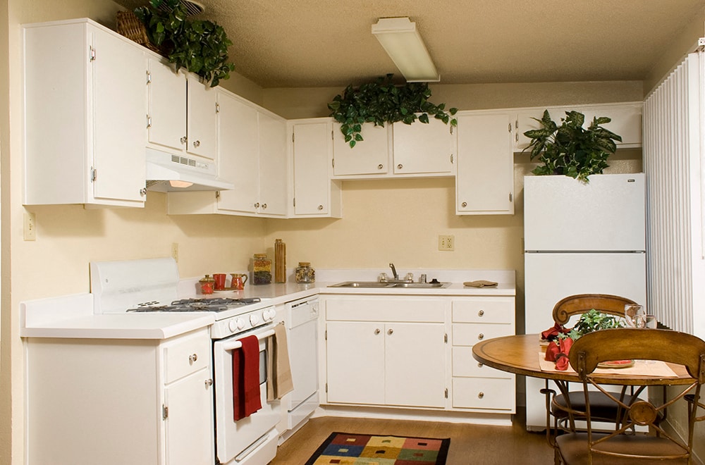 Estufa de gas con ventilación superior en la cocina. - Walden Glen Apartments