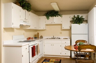 Gas range stove with overhead vent in kitchen - Walden Glen Apartments