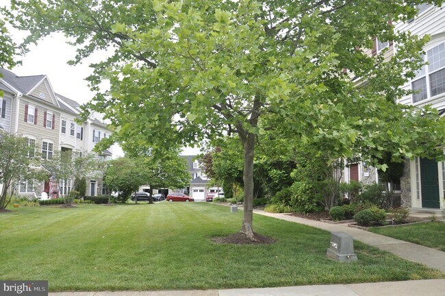 Building Photo - 743 Collington Ct