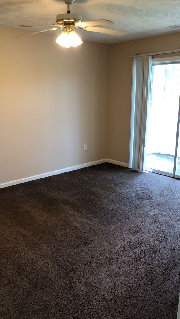 Building Photo - 493 White River Dr