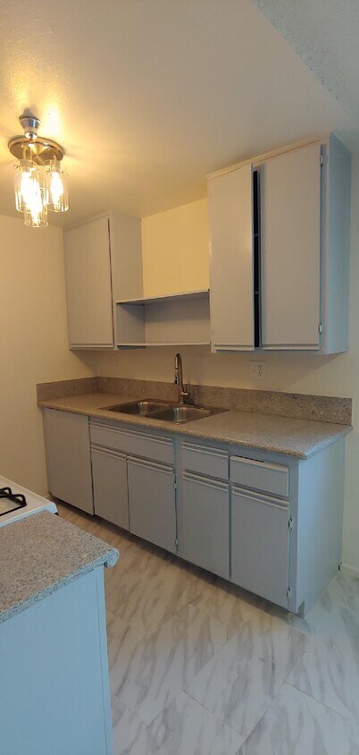kitchen - 423 W Maple St