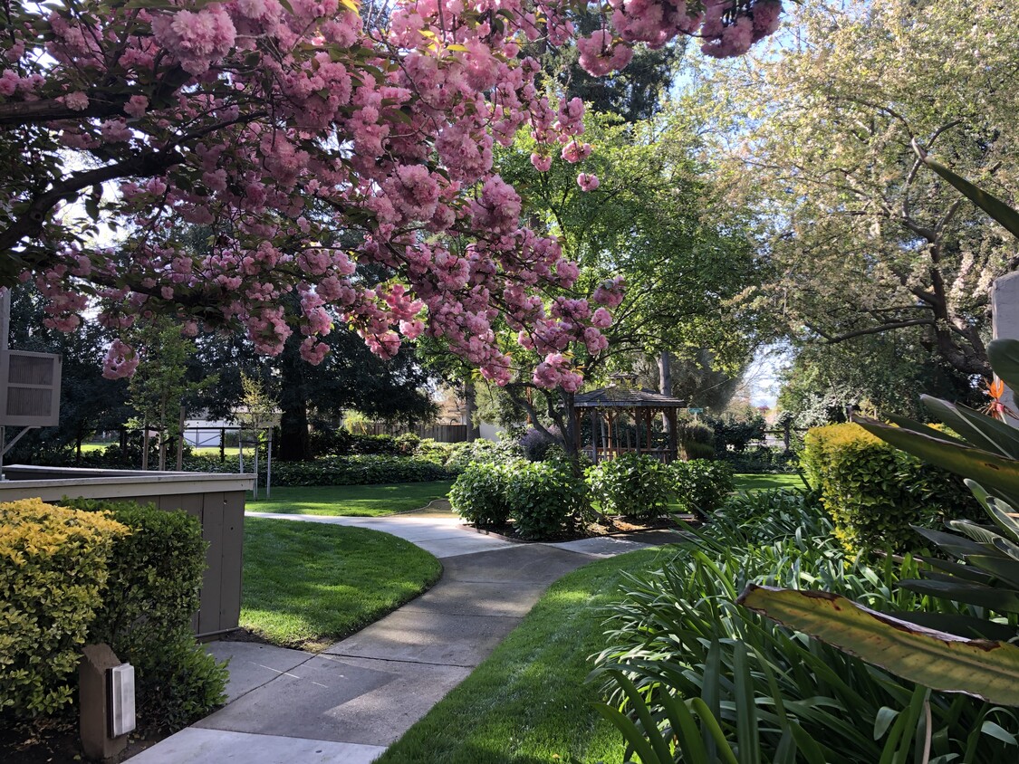 Vistas panorámicas - Briarwood Apartments