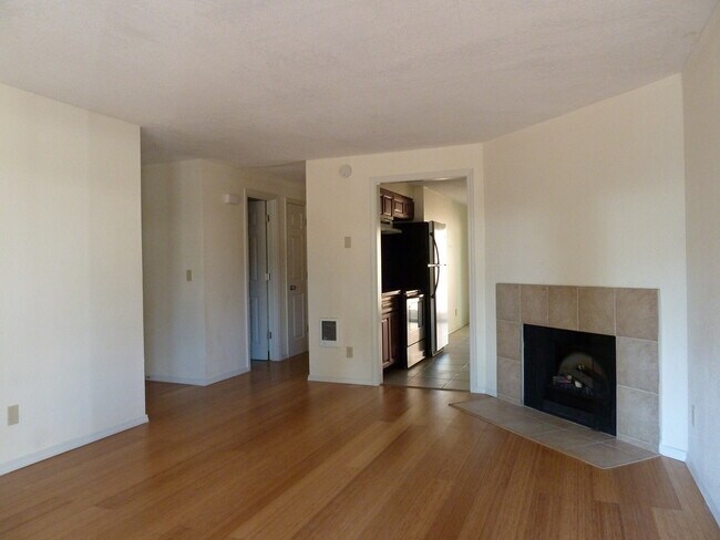 Bamboo Floors Electric Fireplace Insert - 29589 SW Serenity Way