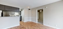 This contemporary apartment offers a blend of style and functionality. The open floor plan seamlessly connects the living areas, creating a spacious feel. The kitchen boasts modern grey cabinets, stainless steel appliances, and a convenient breakfast bar, perfect for casual dining. Warm hardwood floors flow through the main living spaces, while plush carpeting adds comfort to the bedrooms. Large windows and a sliding glass door leading to a private balcony flood the space with natural light, enhancing the airy atmosphere. The bathroom features a sleek white tile surround and updated fixtures. A generous walk-in closet provides ample storage space. The neutral color palette throughout allows for versatile decorating options. Ceiling fans and window treatments add practical touches to this well-designed living space, ideal for modern urban living.