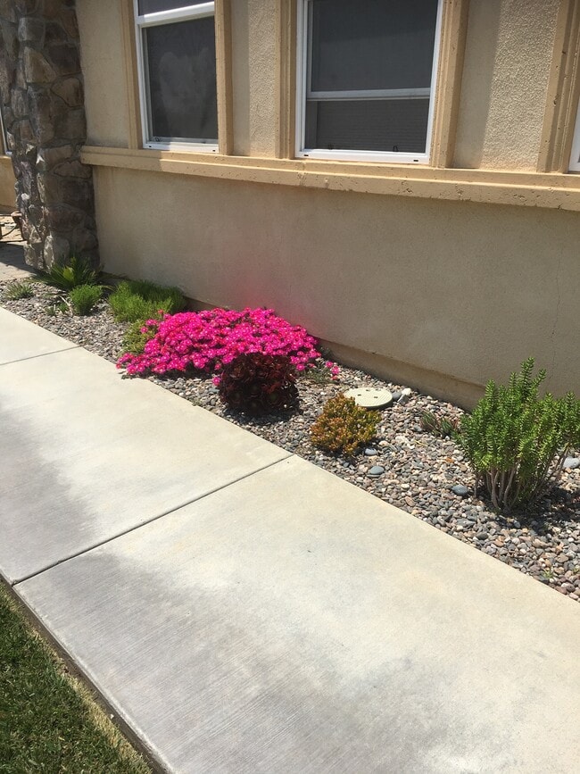 Building Photo - 6568 N Caleb Ln