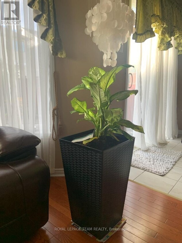 Photo du bâtiment - 115 Macara Crescent