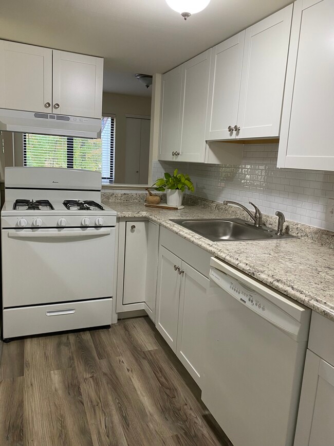 Newly renovated kitchen. - 1825 Bridgetown Pike