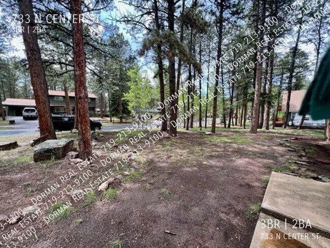Building Photo - Cozy home in Woodland Park