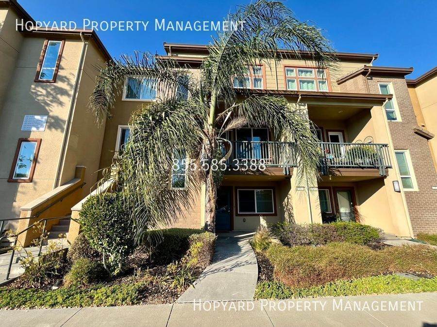 Primary Photo - Spectacular Prime Location, in San Jose!