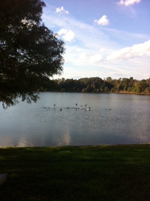 Building Photo - BEAUTIFUL Lakefront 3 bedroom, 2 bath, 2 c...