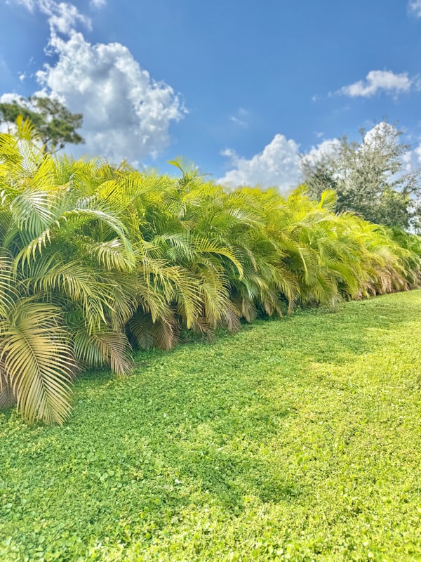 Foto del edificio - 2504 Leda Ave S
