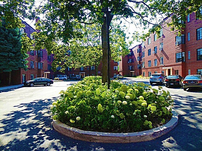 Building Photo - 6200 N Hoyne Ave