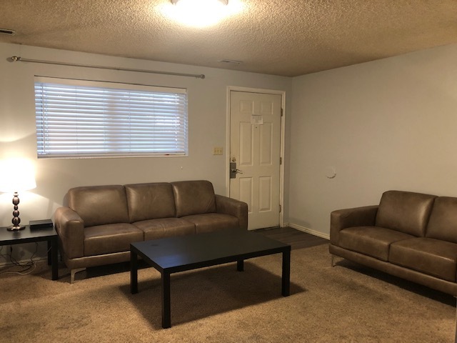 Large Living Room - 161 E 700 N