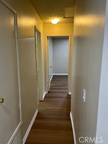 Foto del edificio - 318 Wilma Cir