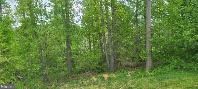 Building Photo - 4506 Nightingale Ct