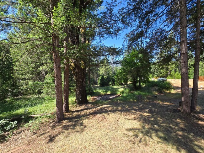 Foto del edificio - Charming 3-bedroom, 2-bathroom house locat...