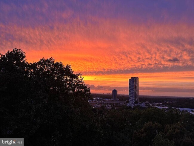 Foto del edificio - 8370 Greensboro Dr
