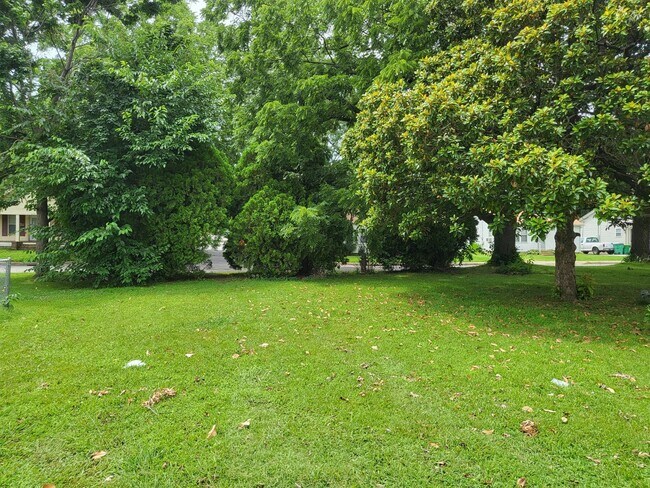 Front yard - 1100 Watson Ave