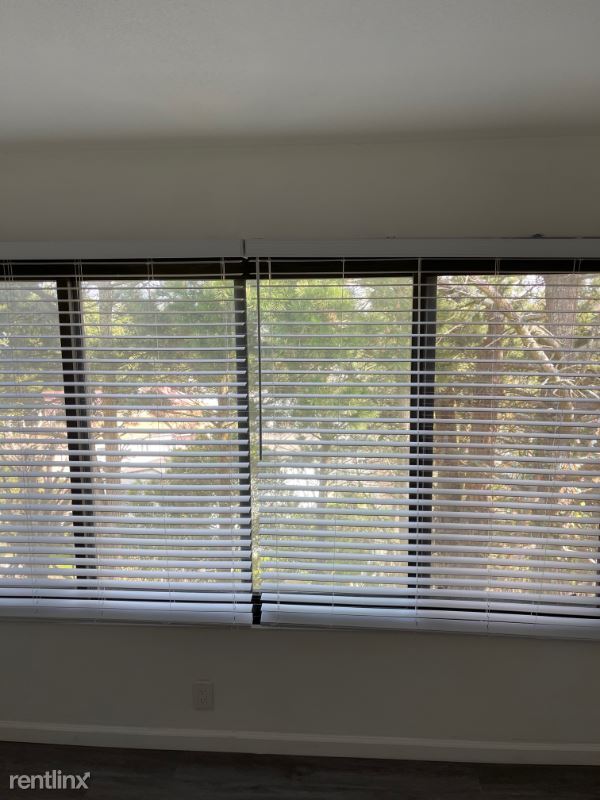 Foto del edificio - 4 br, 2 bath House - 145 Morton Drive