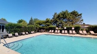 The most notable feature of this property is its inviting outdoor pool area, which serves as a central amenity for relaxation and recreation. The pool itself is generously sized, filled with clear, blue-tinted water that reflects the open sky above. Surrounding the pool is a spacious concrete deck finished in a neutral tone, providing ample room for movement and lounging.

A row of cushioned chaise lounge chairs lines one side of the pool deck, offering dedicated sunbathing space. Additional seating is available in a shaded corner, where a blue market umbrella provides relief from direct sun alongside a small table-and-chair arrangement. The entire pool area is enclosed by a black wrought iron fence, providing both safety and a defined boundary.

Mature trees and dense greenery frame the perimeter beyond the fence, creating a natural backdrop that enhances privacy and contributes to a serene atmosphere. The surrounding landscaping is well-established, with evergreen and deciduous trees lending a settled, established character to the outdoor space. The property is single-story, and the remaining interior images were too underexposed to provide further detail.