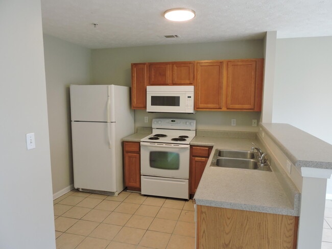 Foto del edificio - 207 Swaying Pine Ct