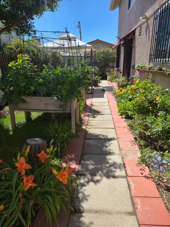 Jardín 1441 - 1441 Madison Ave