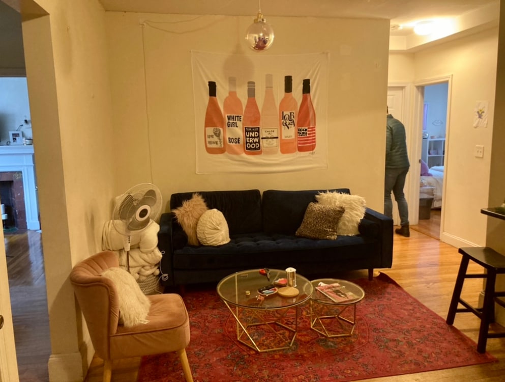 Primary Photo - 62 Egmont St