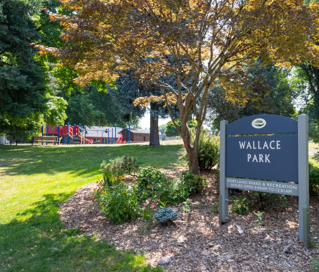 Playground at Wallace Park