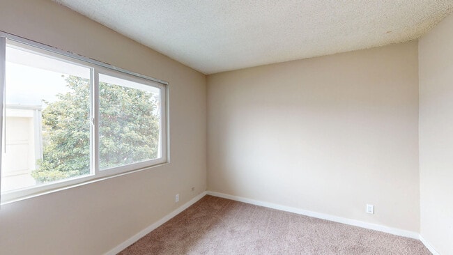 Interior Photo - Rosebeach