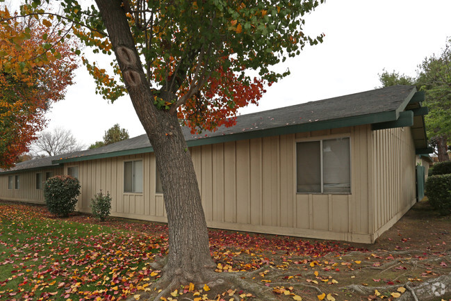 Building Photo - Ashtree Apartments