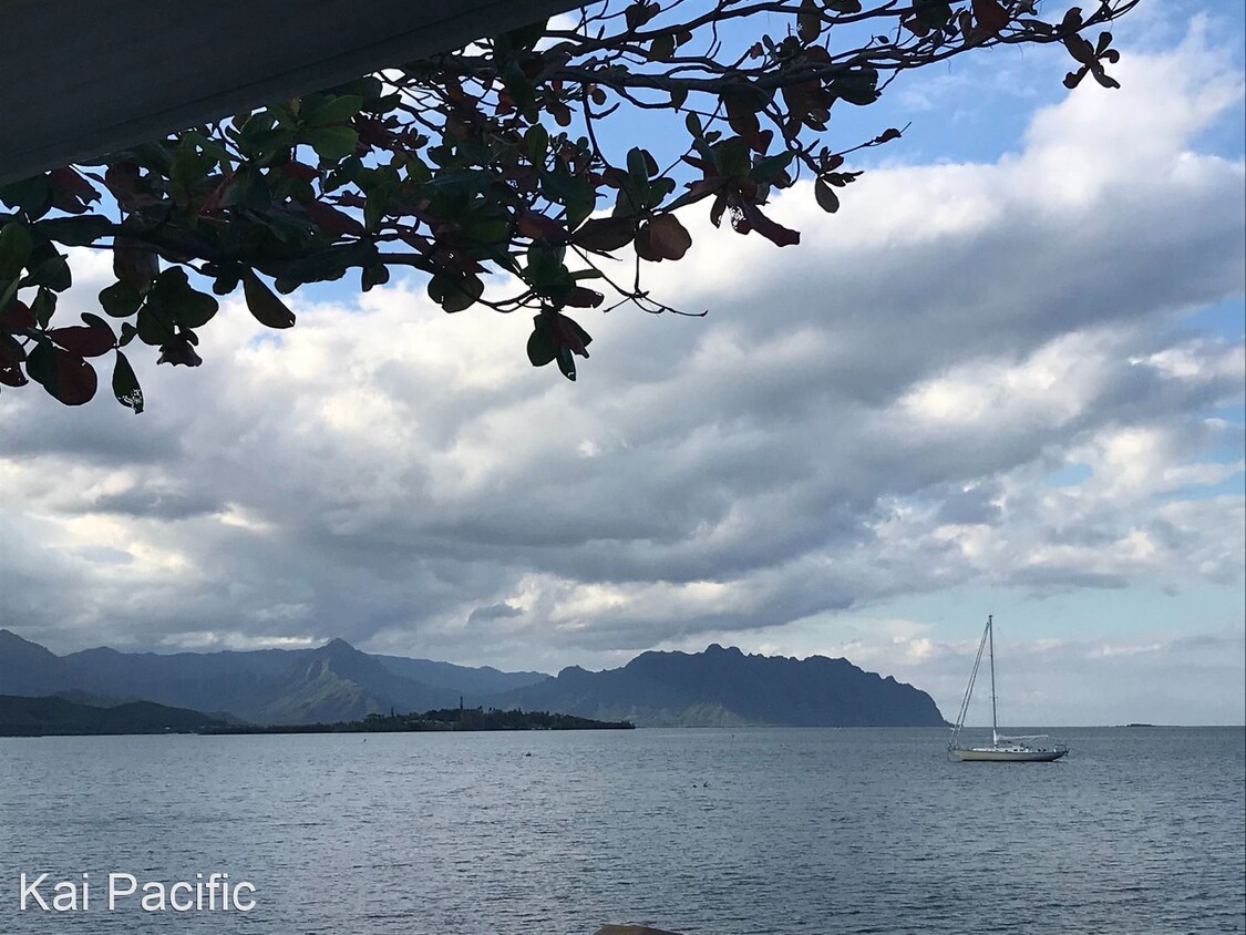 Primary Photo - 3 br, 2 bath House - 44-605 Kaneohe Bay Drive