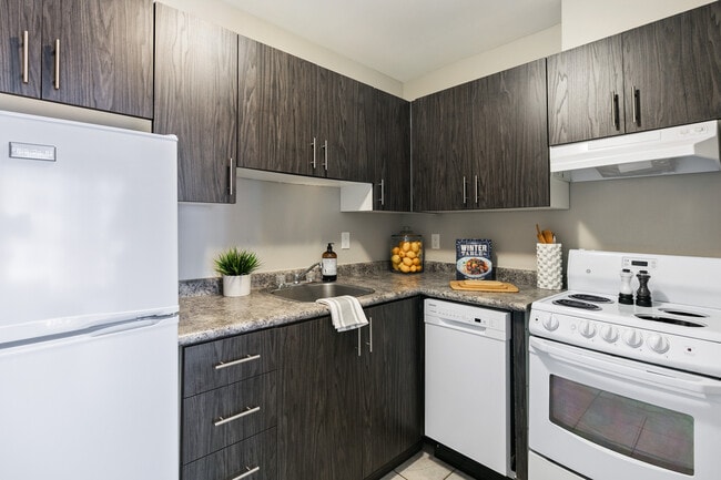 02, 08 & 13 Collection Kitchen - Shoreline Towers