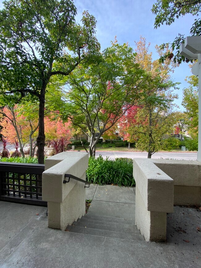 Bienvenido a casa - 439 Camille Cir