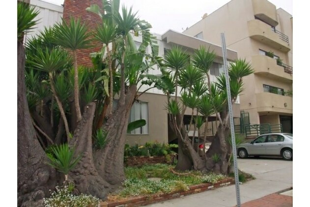 Primary Photo - 1745 Colby Ave