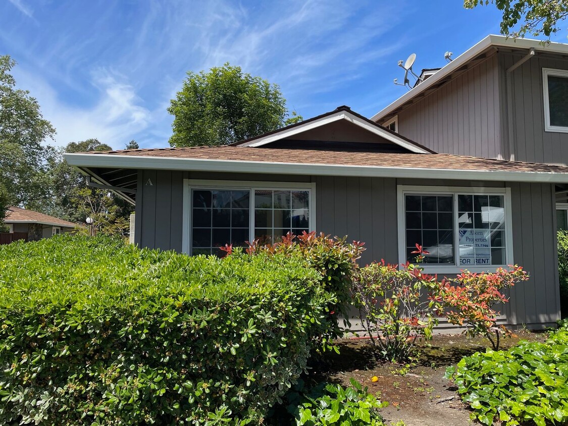 Primary Photo - Spacious 2 Bedroom, 1 Bath Apartment w/ 1 ...