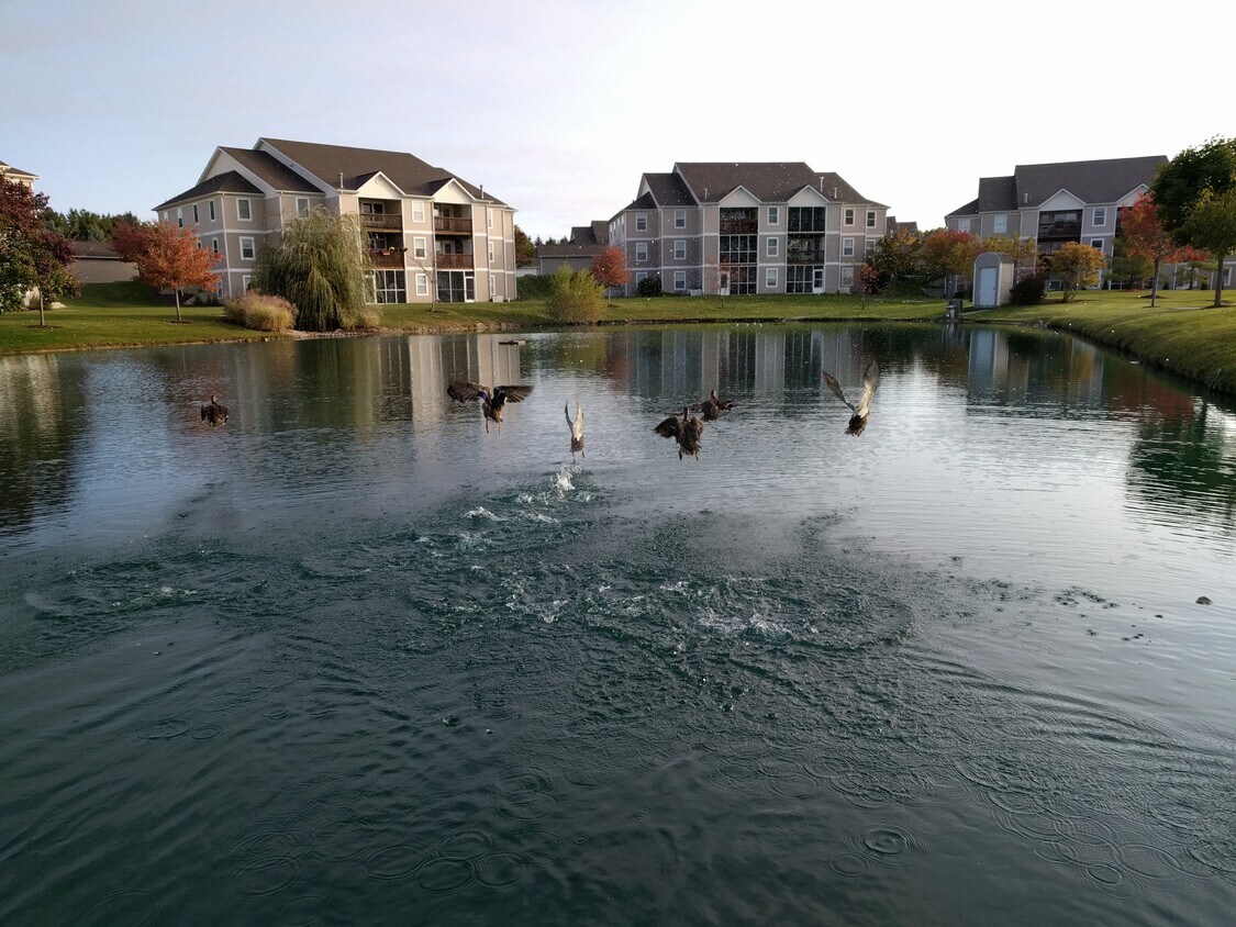 1526 Oakfield Dr Unit , Ann Arbor, MI 48108 Condo for Rent in Ann