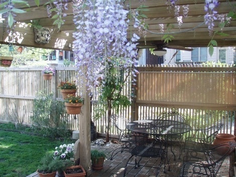 Building Photo - Sunny 3 BR / 2 BA Beautiful Home in Museum...