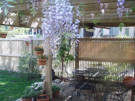 Foto del edificio - Sunny 3 BR / 2 BA Beautiful Home in Museum...