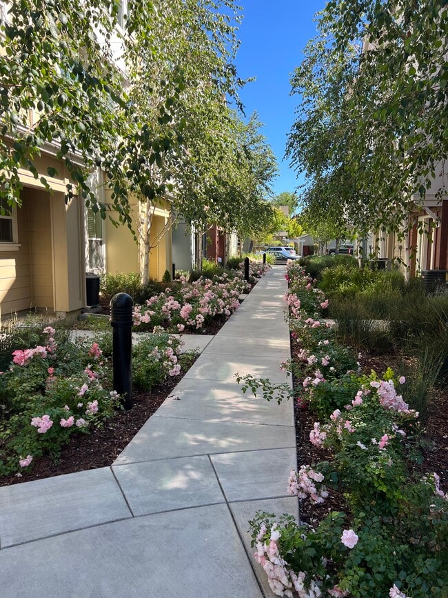 community - 918 Arietta Dr