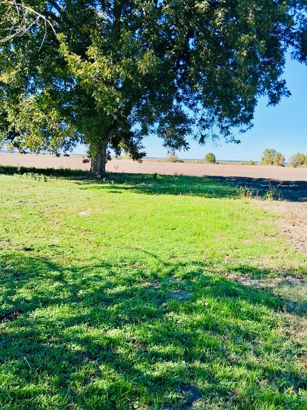 Foto del edificio - 201 West Ave N