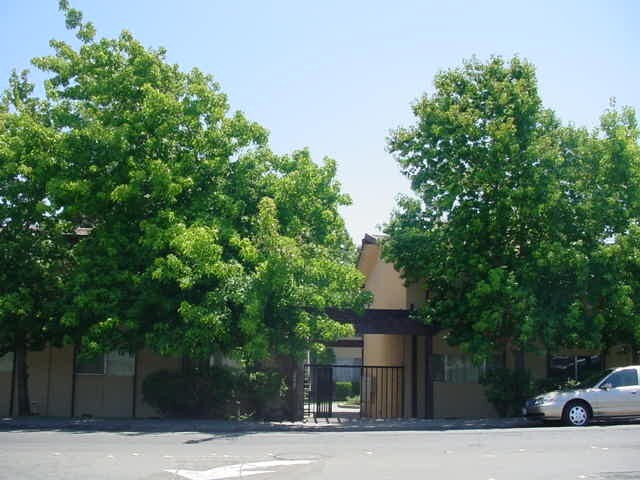 Foto del edificio - Church Lane Apartment Homes