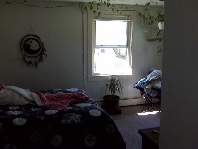 Building Photo - 223 Raines