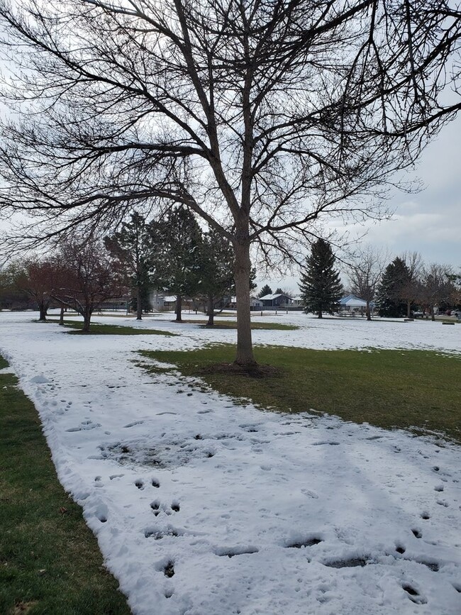 Photo - 4B/2B Home with Attached Garage in Longmont Ready for June!
